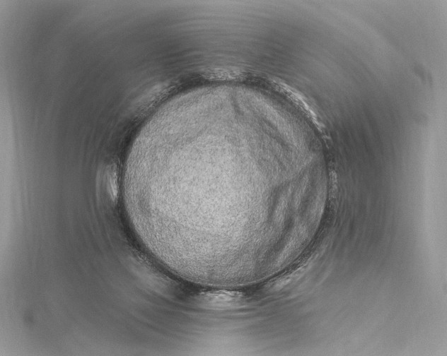 X0000115520069200911201707