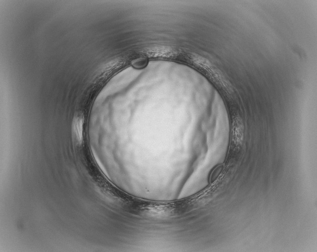 X0000115520070200911201707