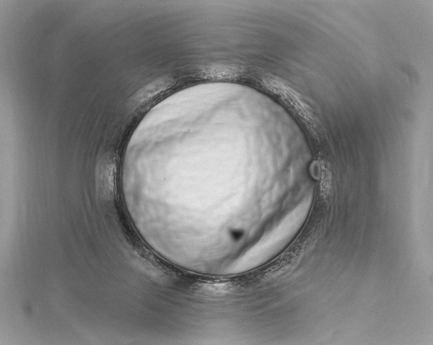 X0000115520071200911201707