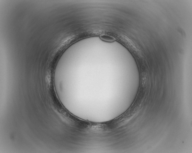 X0000115520072200911201707