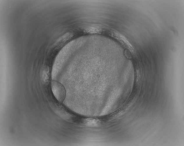 X0000115520073200911201707