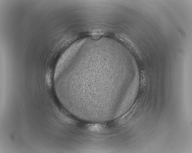 X0000115520074200911201707