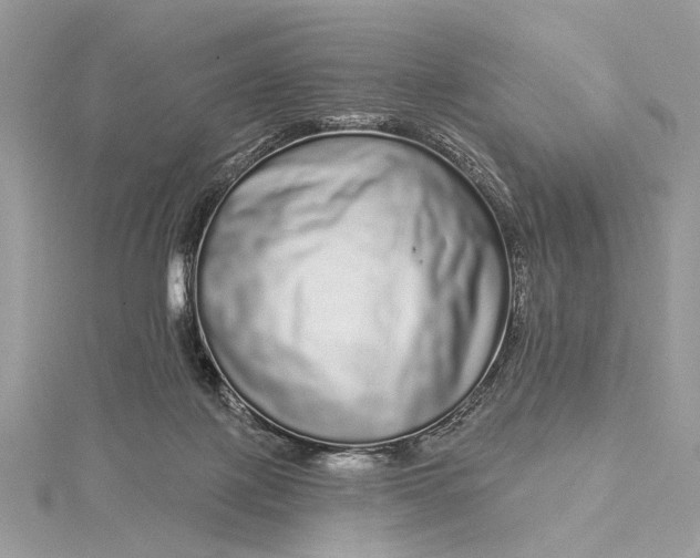 X0000115520075200911201708