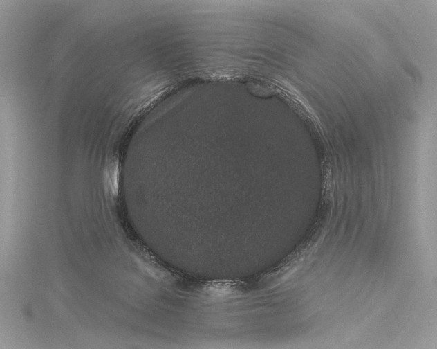 X0000115520076200911201708