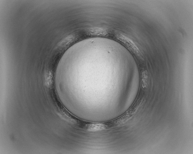 X0000115520077200911201708