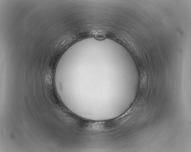 X0000115520078200911201708