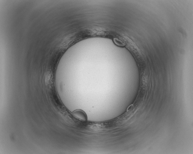 X0000115520079200911201708