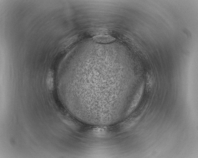 X0000115520080200911201708