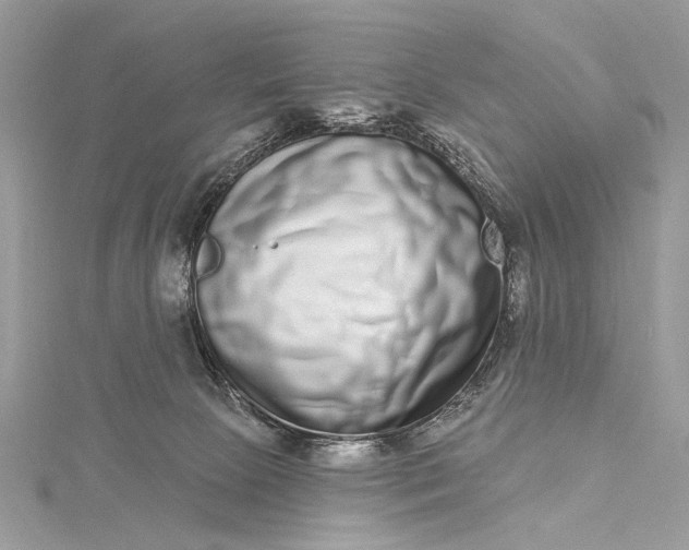 X0000115520081200911201708