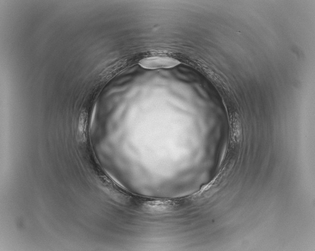 X0000115520082200911201708