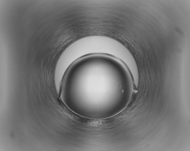 X0000115520084200911201708