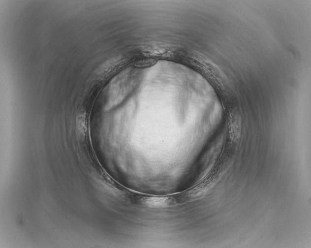 X0000115520085200911201708