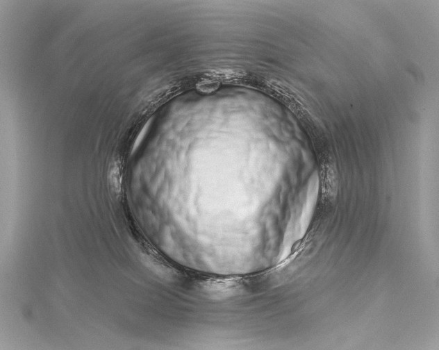 X0000115520086200911201708