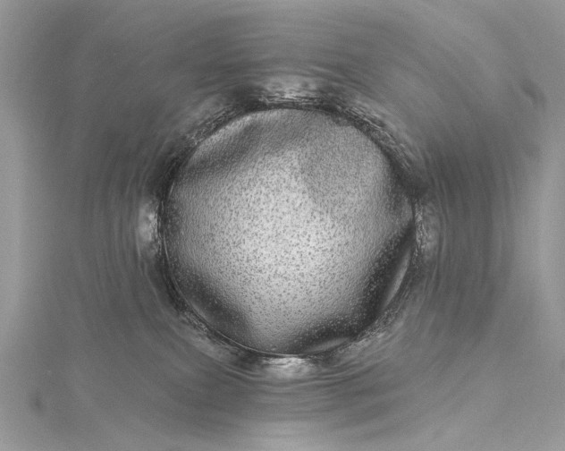 X0000115520087200911201708