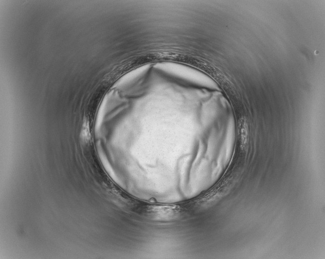 X0000115520089200911201708