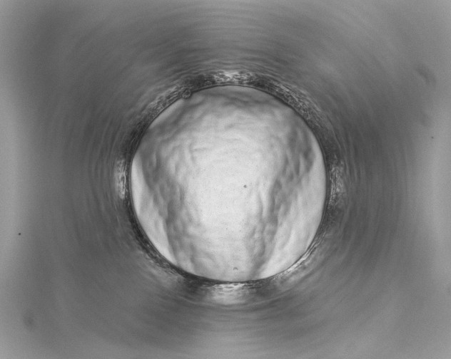 X0000115520090200911201708