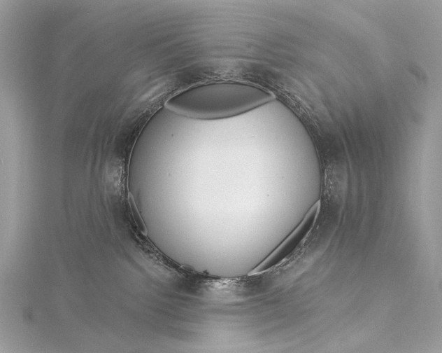 X0000115520092200911201708