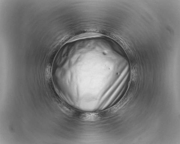 X0000115520093200911201708