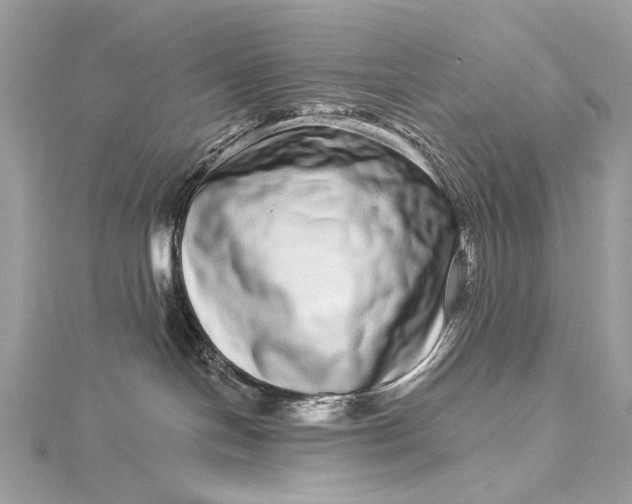 X0000115520094200911201708