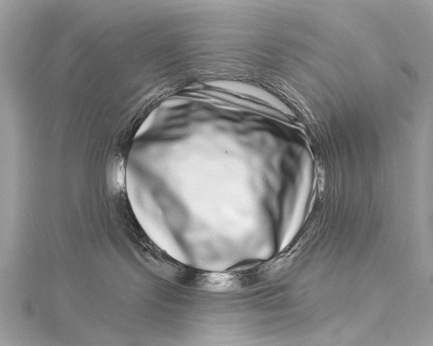 X0000115520095200911201708