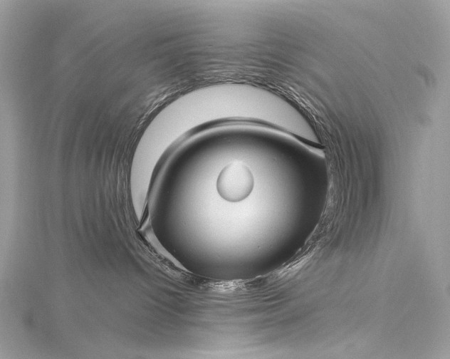 X0000115520096200911201708