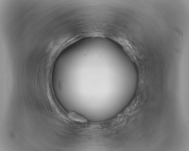 X0000115520097200911201707