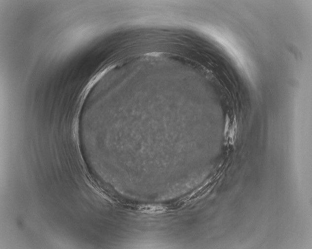 X0000115520099200911201707