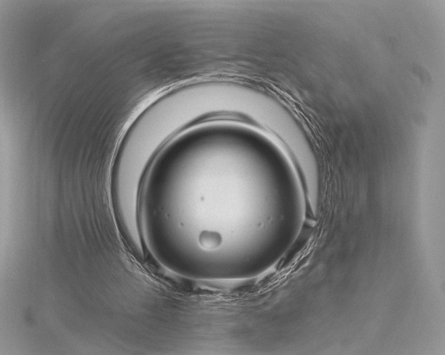 X0000115520100200911201707