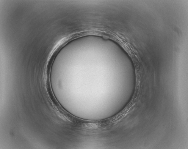 X0000115520102200911201707