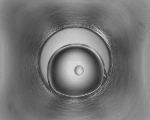 X0000115520105200911201707