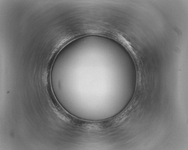 X0000115520106200911201707