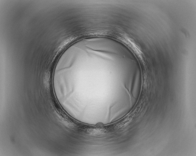 X0000115520107200911201707