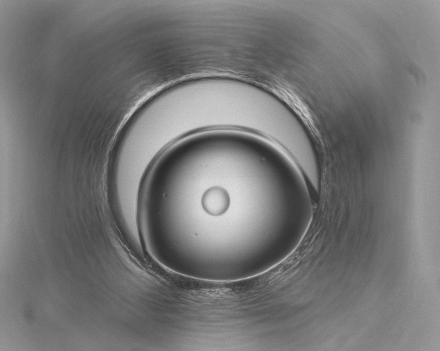 X0000115520108200911201707