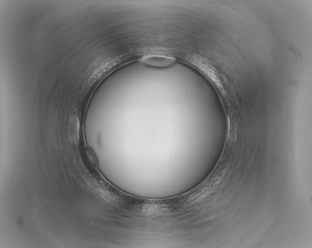 X0000115520109200911201707