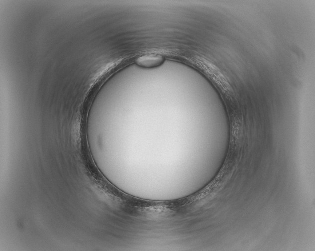 X0000115520112200911201707