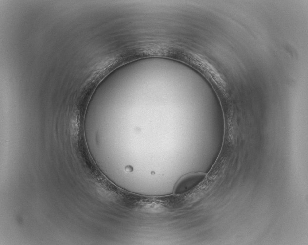 X0000115520113200911201707