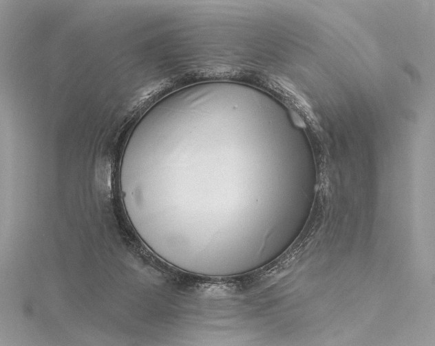 X0000115520115200911201707