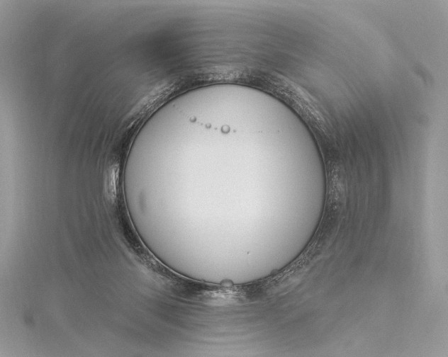 X0000115520118200911201707