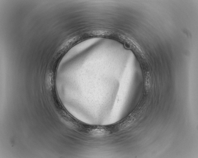 X0000115520119200911201707