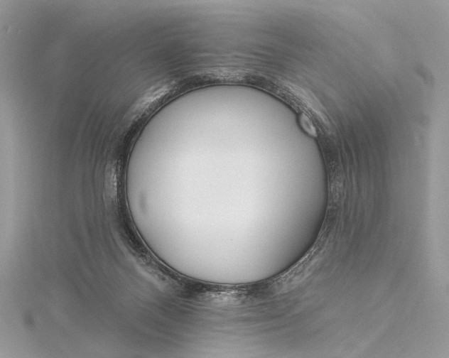 X0000115520120200911201707