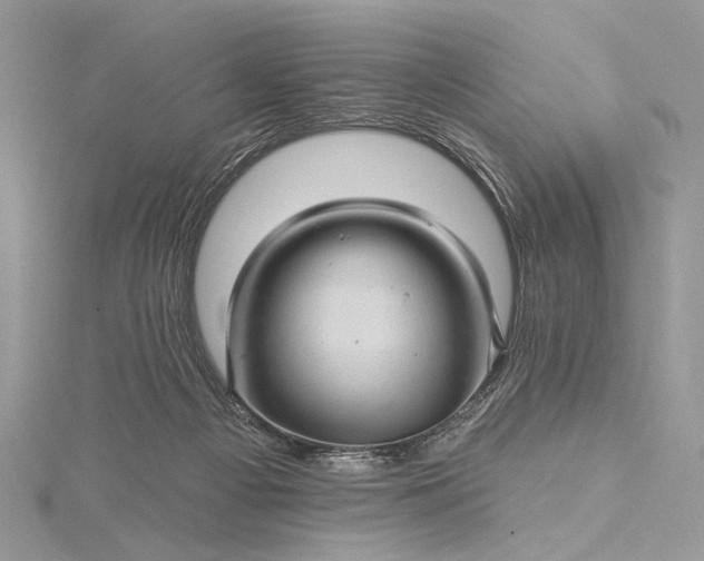 X0000115520121200911201707