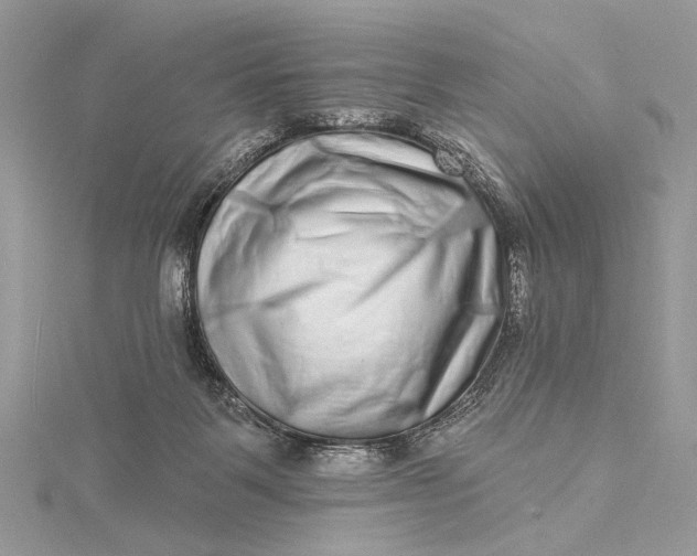 X0000115520123200911201707