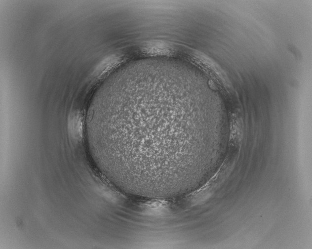 X0000115520124200911201707