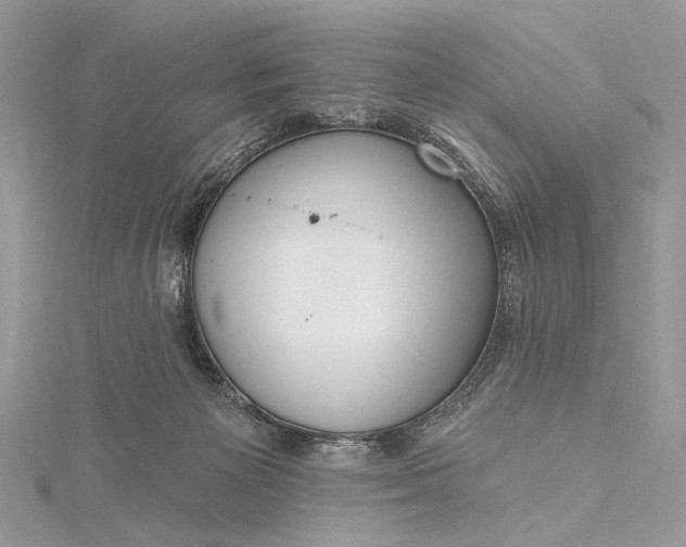 X0000115520125200911201707