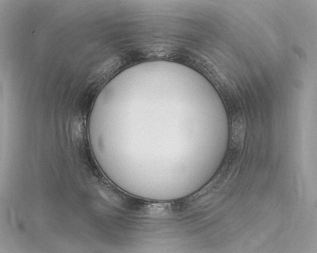 X0000115520126200911201707