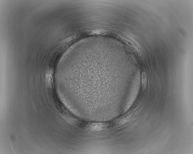 X0000115520127200911201707