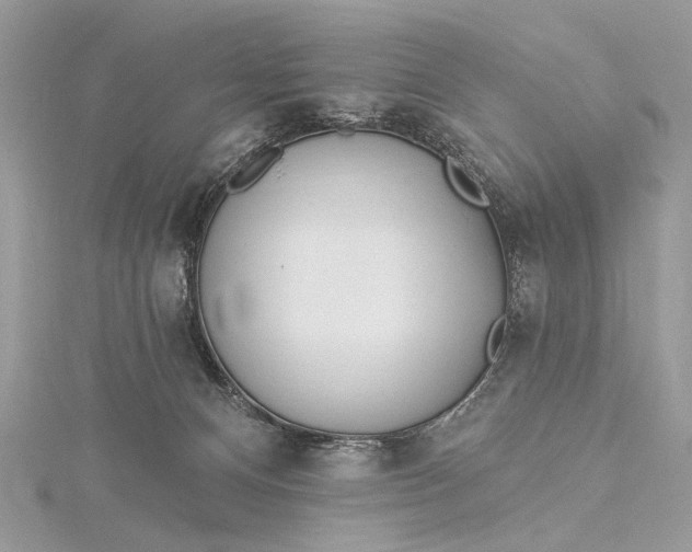 X0000115520128200911201707