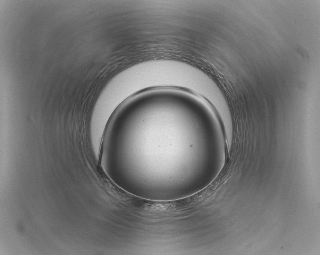 X0000115520129200911201707