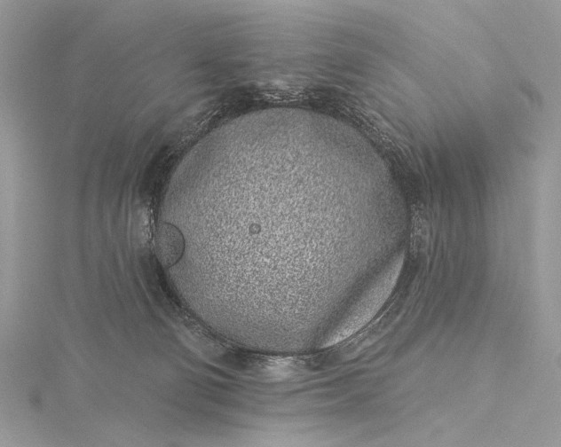 X0000115520130200911201707