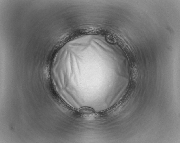 X0000115520131200911201707